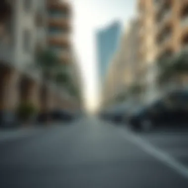 Residents Utilizing Free Parking Spaces Residents utilizing free parking spaces in a neighborhood