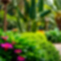 Lush greenery of Rufi Gardens showcasing its diverse flora