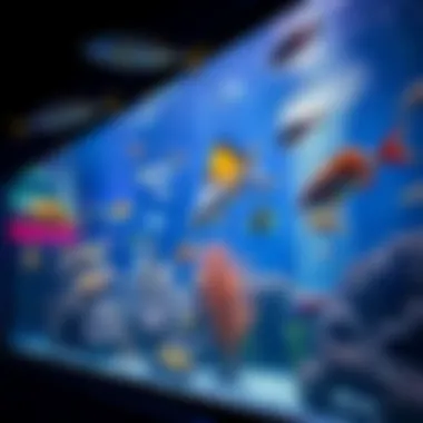 Diverse Marine Life at Si World Dubai An engaging marine exhibit with diverse aquatic life at Si World Dubai.