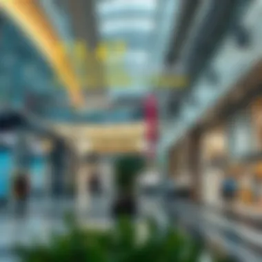 Economic Influence of Outlet Malls in Dubai An infographic depicting economic impacts of outlet malls