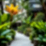 Lush urban garden showcasing diverse plant species