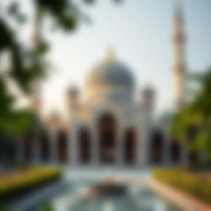 The Reem Central Park Mosque: A Comprehensive Analysis Summary
