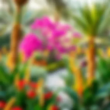 The vibrant colors and diverse flora of the Al Ain Botanical Garden, a paradise for nature lovers.