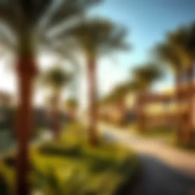 A breathtaking view of Al Ain Oasis showcasing lush palm trees and serene pathways.