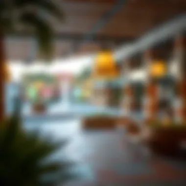 Recreational Amenities in Town Square Safi Recreational amenities in Town Square Safi highlighting community lifestyle