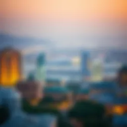 Overview of Dubai's visa landscape