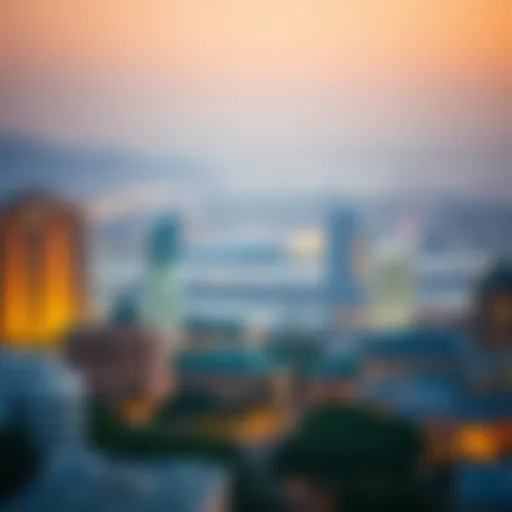 Overview of Dubai's visa landscape