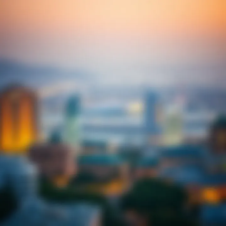 Overview of Dubai's visa landscape