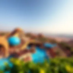 Overview of Wild Wadi Water Park